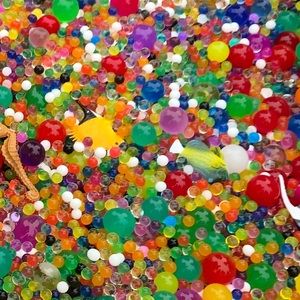 Meet your Posher, Phoebe